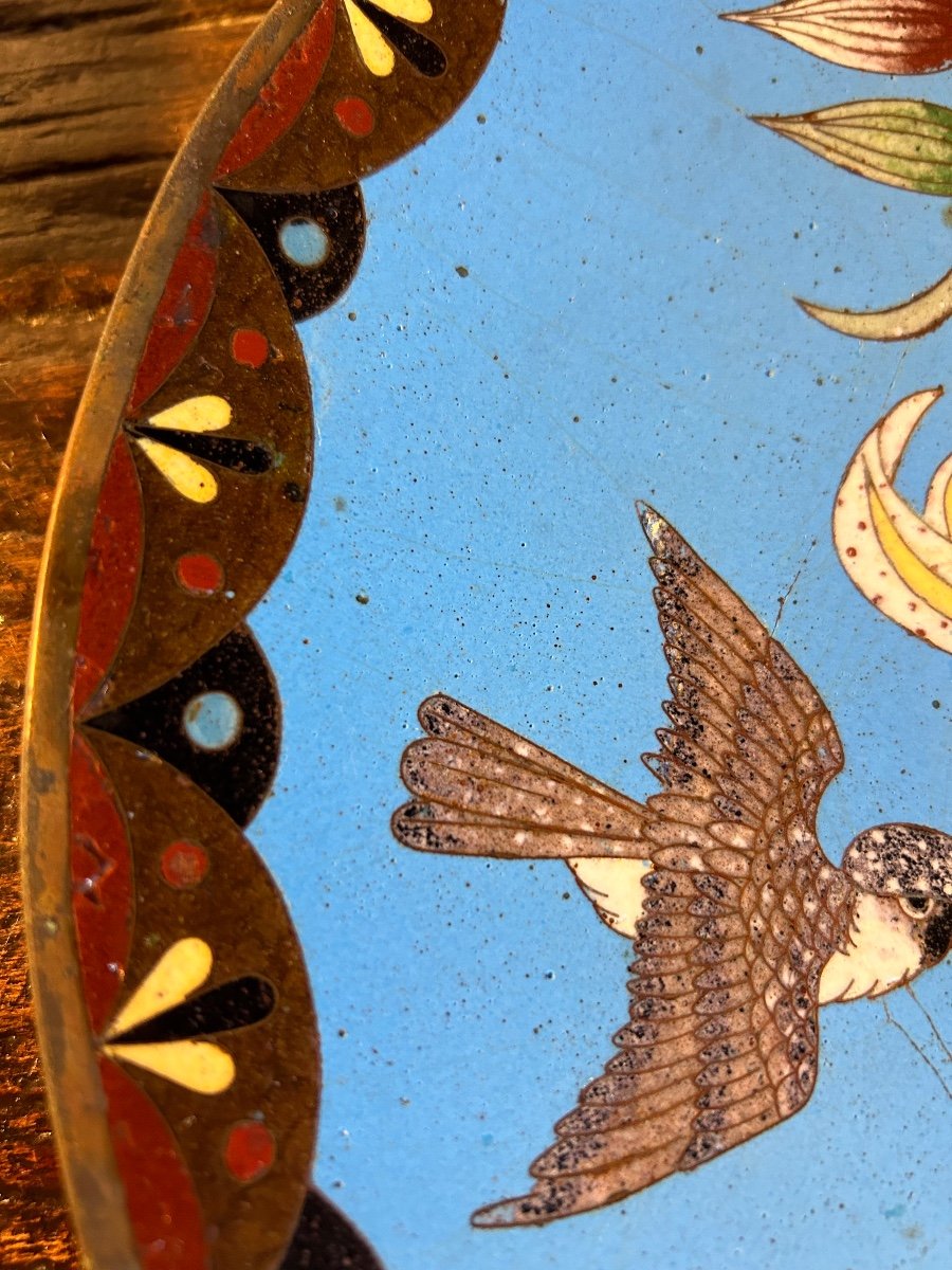 Meiji Japan Cloisonne Dish -photo-5
