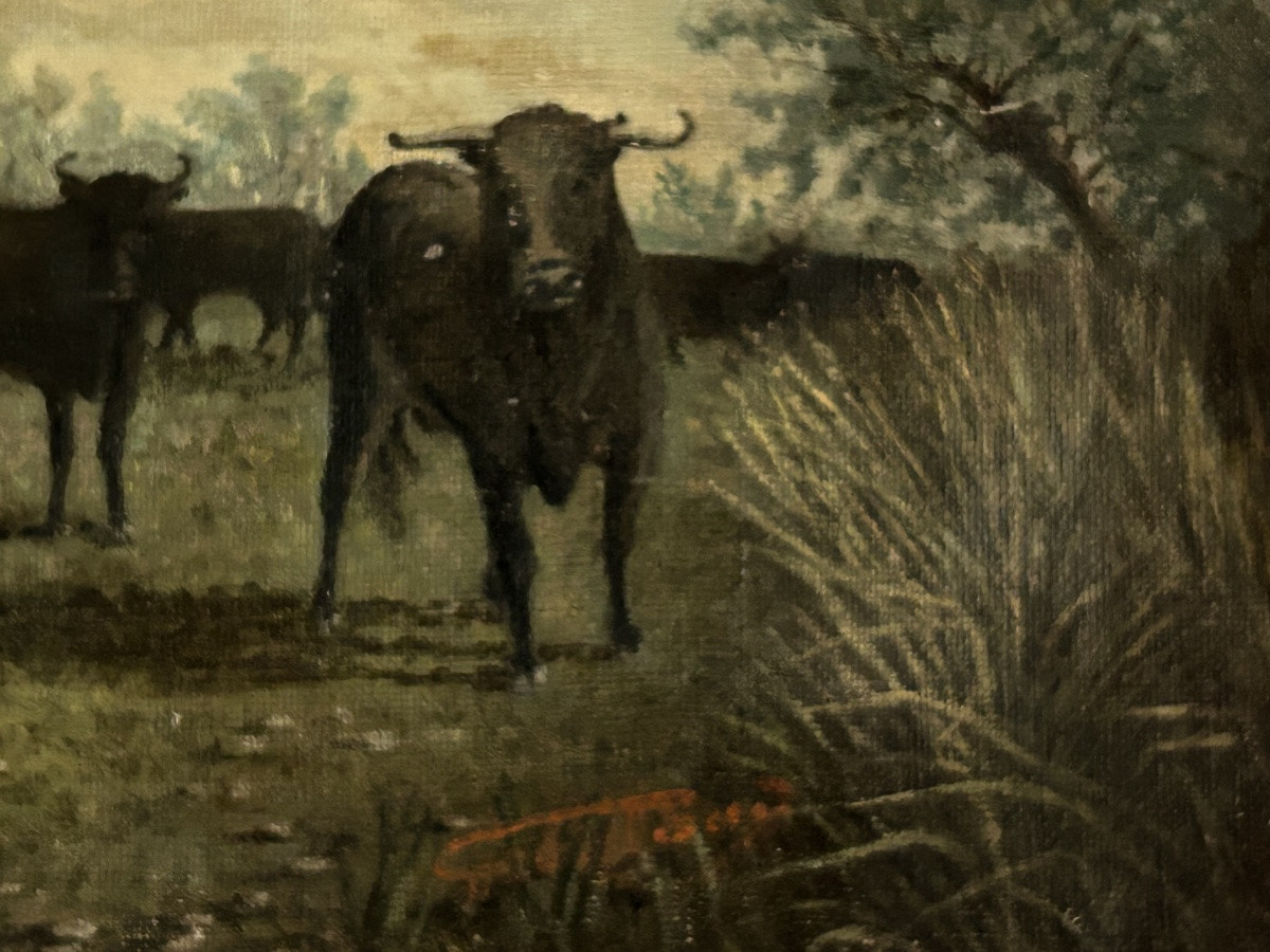 Tableau taureaux de Camargue -photo-3