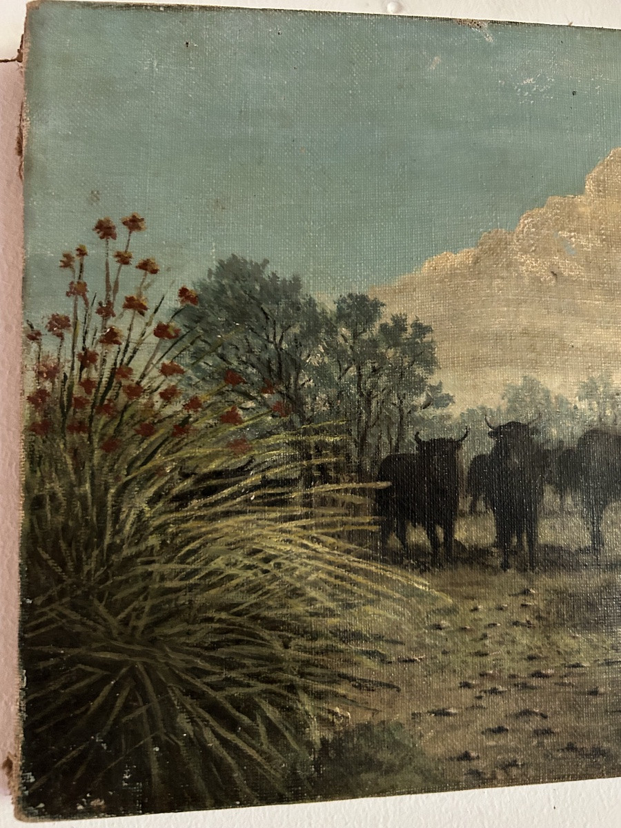 Tableau taureaux de Camargue -photo-4