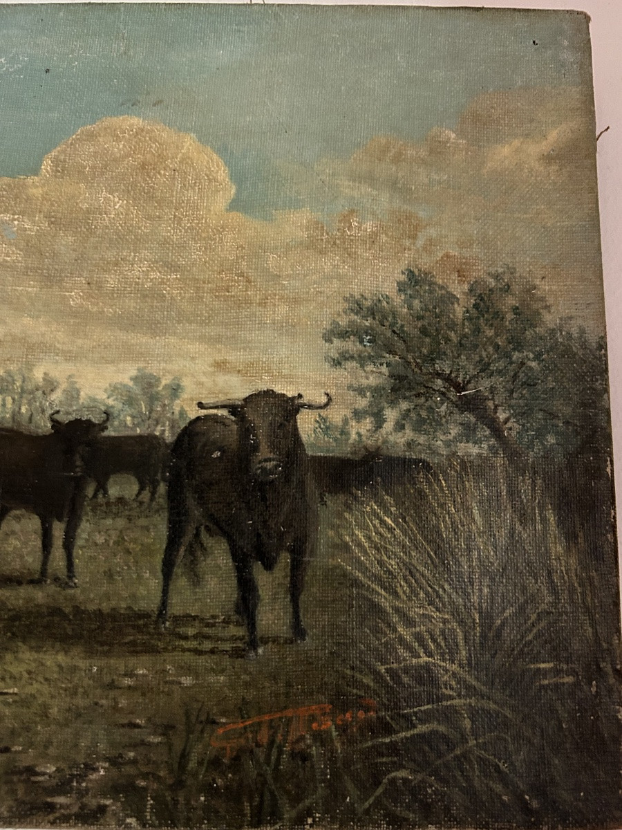 Tableau taureaux de Camargue -photo-1