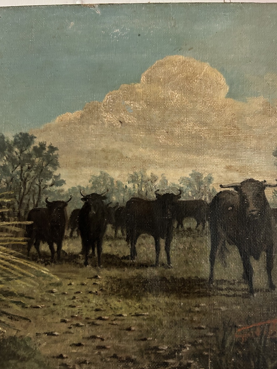 Tableau taureaux de Camargue -photo-2