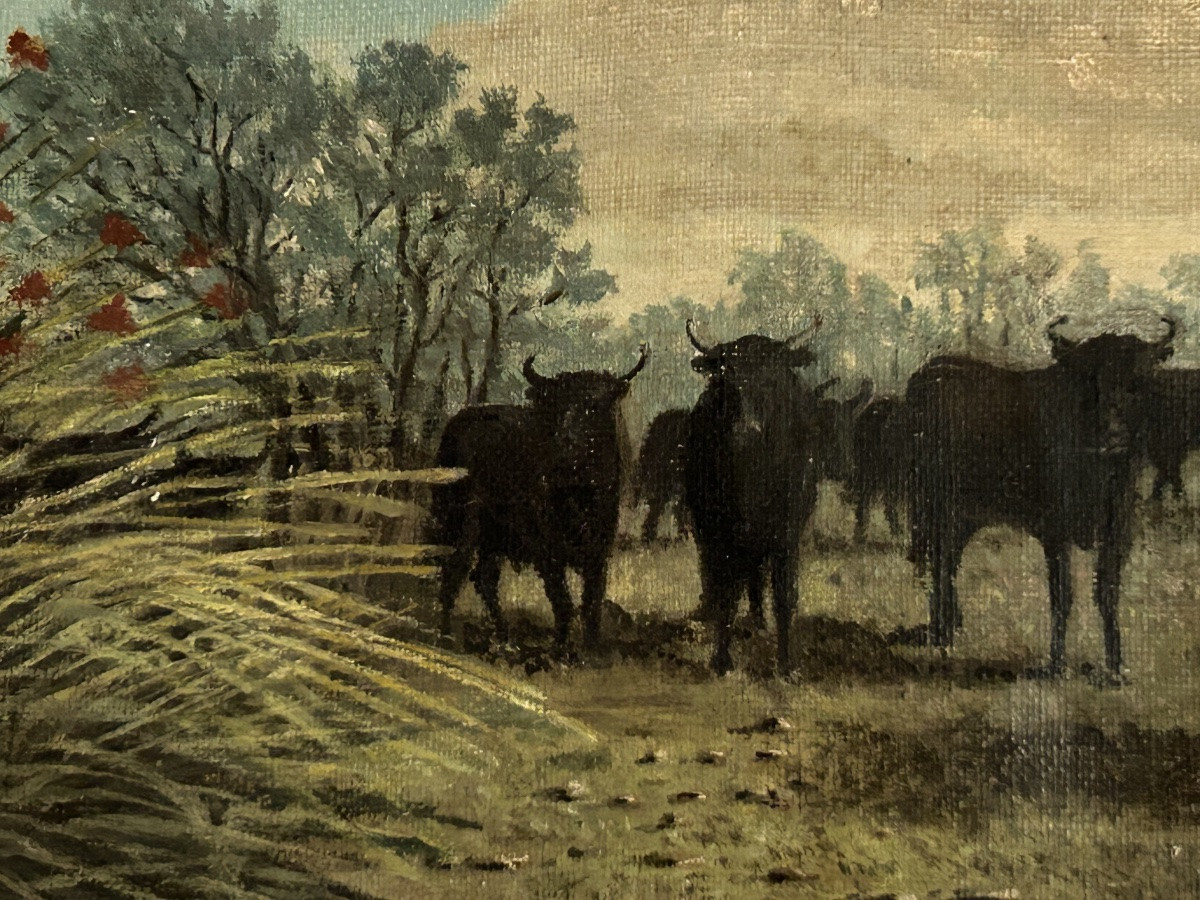 Tableau taureaux de Camargue -photo-3