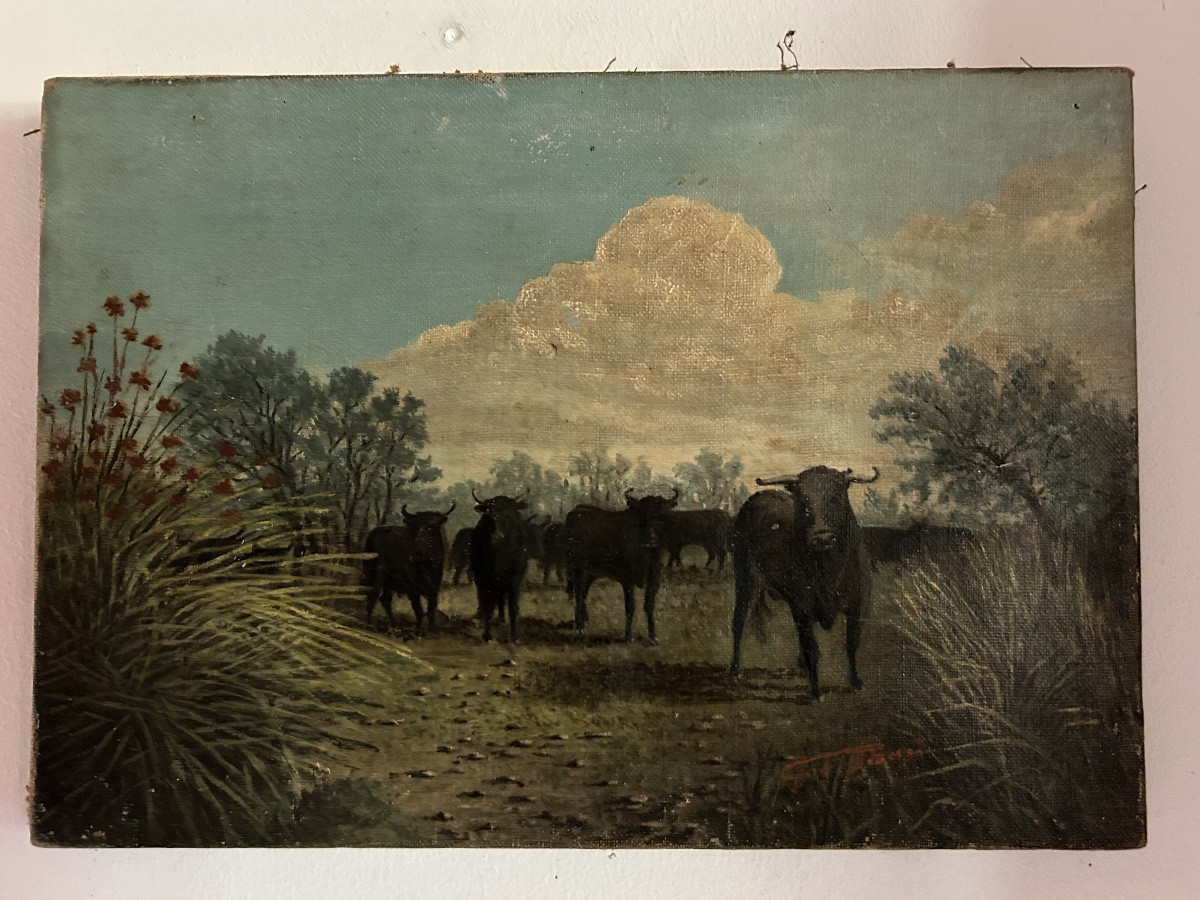 Tableau taureaux de Camargue 