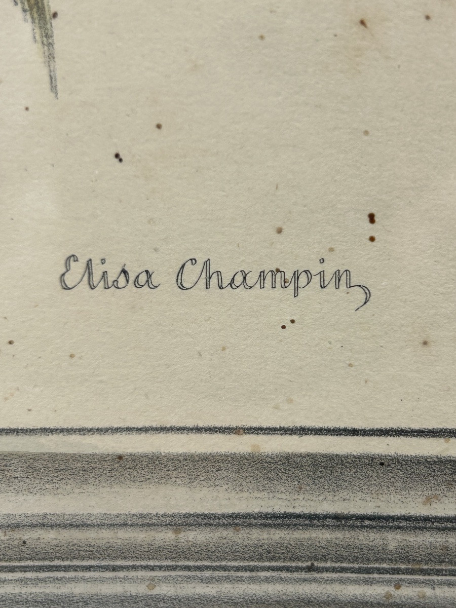 Elisa Honorine Pitet Champin Lithographs Fishing Fish -photo-2