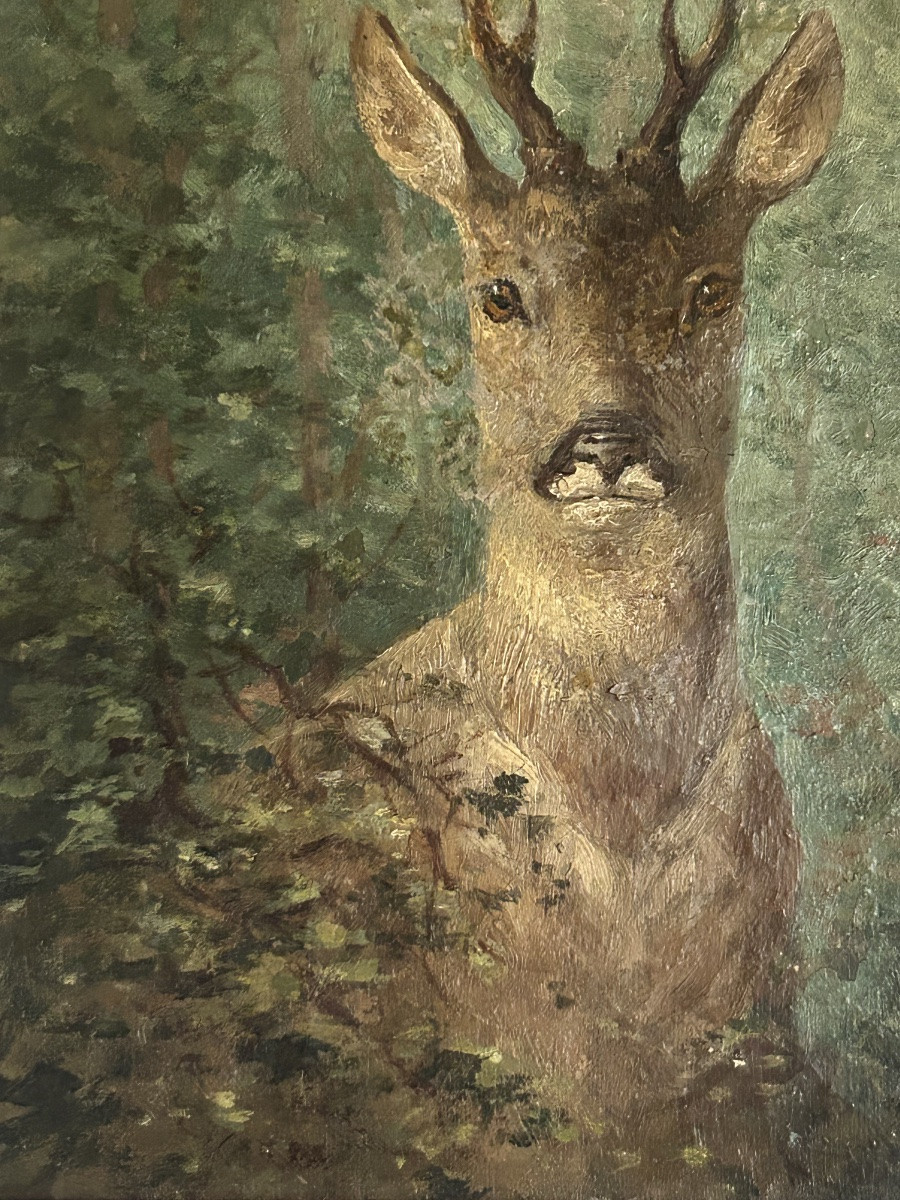 Tableau chasse chevreuil 19eme Noury-photo-5