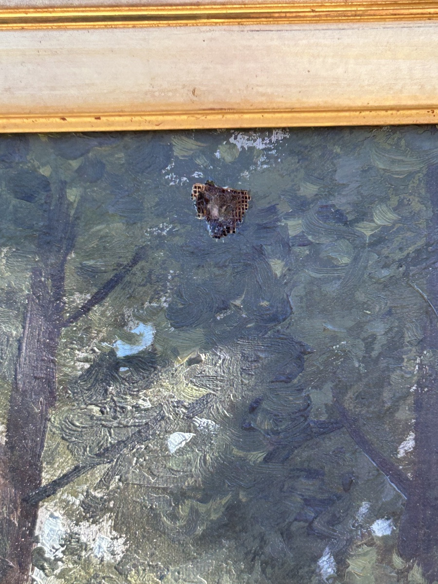 Louis Matifas Pair Of Paintings In Gilded Wood Frames, 19th Century-photo-7