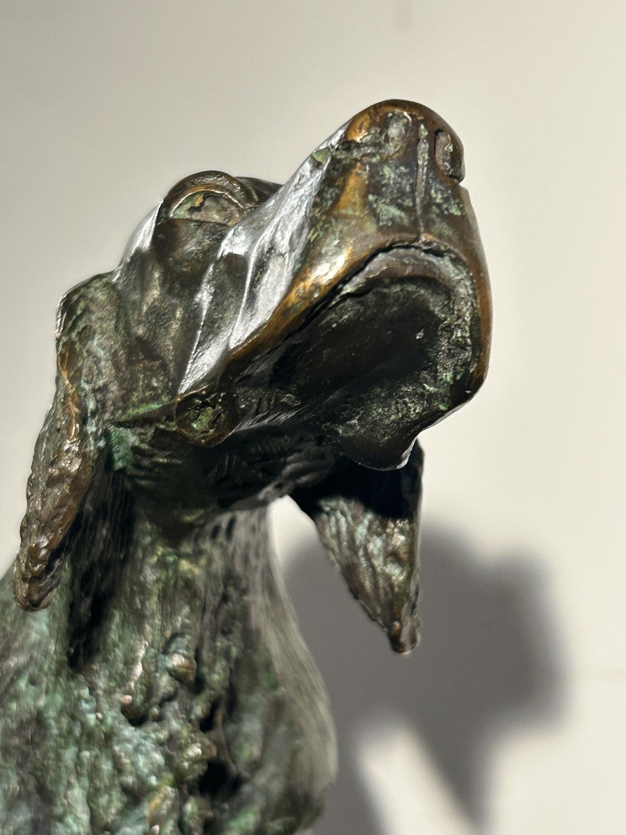 Cesar Rabitti Bronze Sculpture Hunting Dog-photo-7