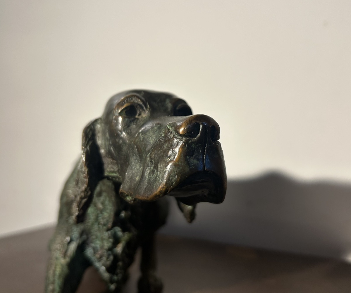 Cesar Rabitti Bronze Sculpture Hunting Dog-photo-8