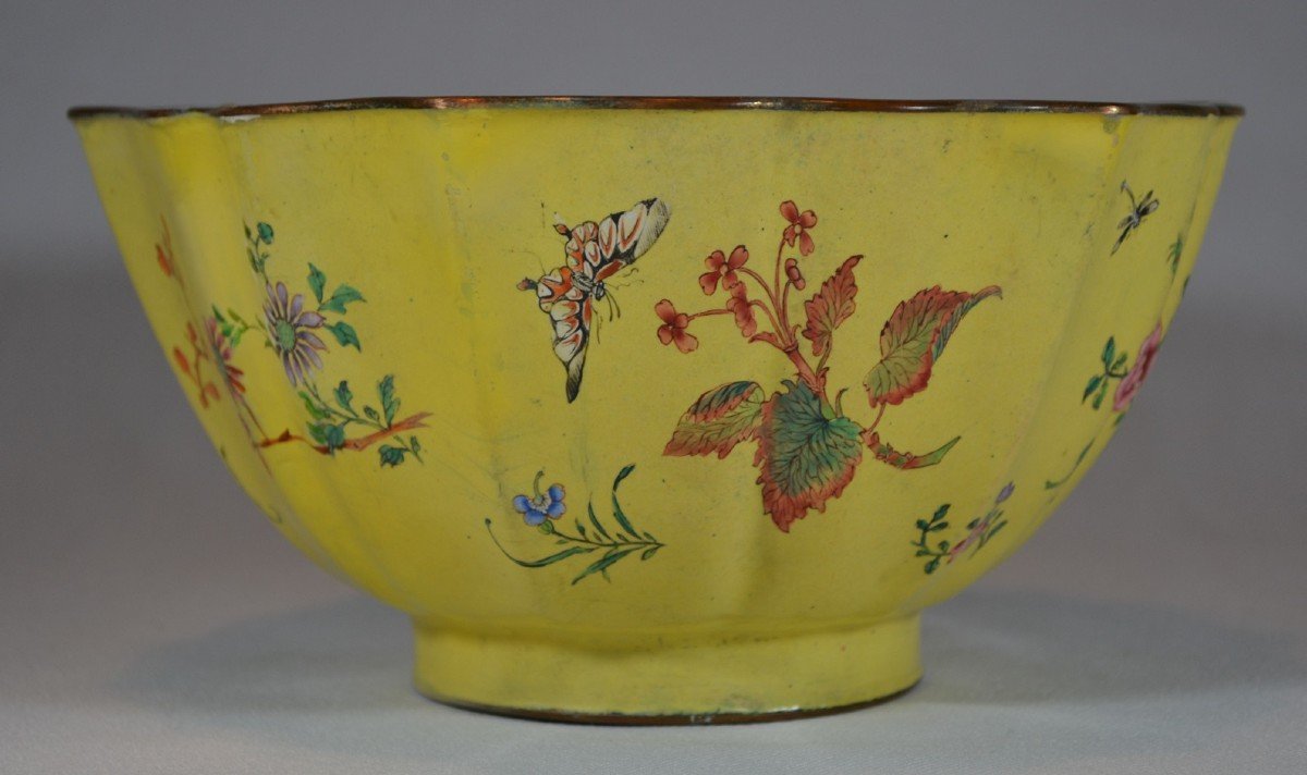 Beijing Enamel Bowl. China Qing Dynasty.-photo-4
