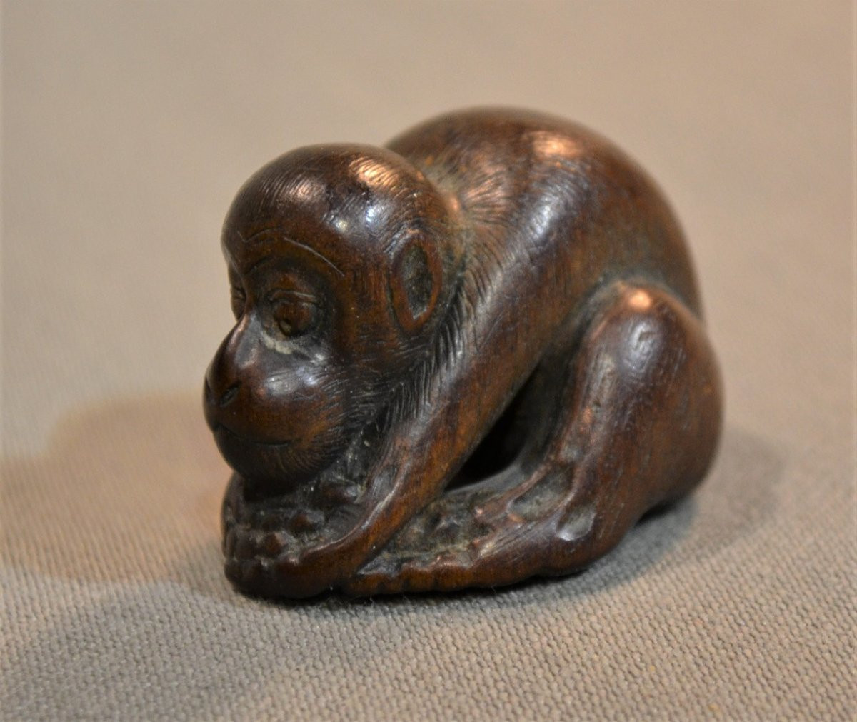 Singe en bois sculpté.Netsuké signé.Japon Edo.-photo-1
