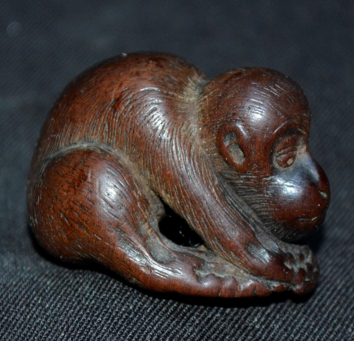 Singe en bois sculpté.Netsuké signé.Japon Edo.-photo-6