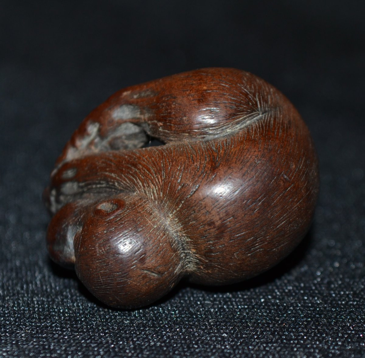 Singe en bois sculpté.Netsuké signé.Japon Edo.-photo-7