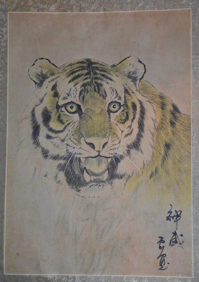 Tiger Head. Ink And Pigments On Paper. Meiji Period. Signature And Stamp. -photo-2