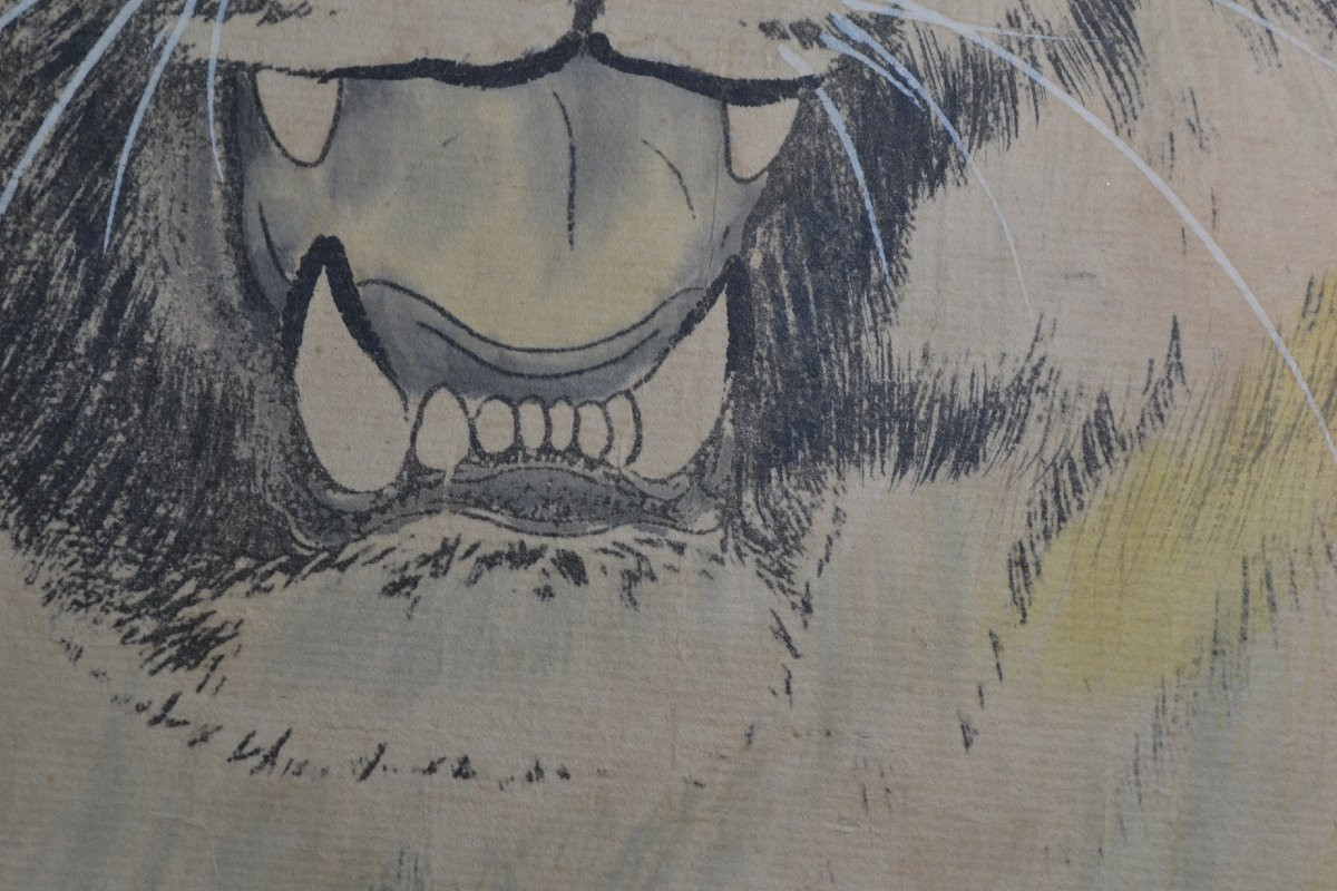 Tiger Head. Ink And Pigments On Paper. Meiji Period. Signature And Stamp. -photo-3