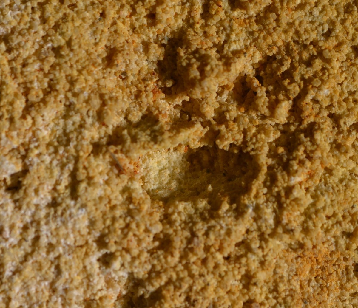 Coffret en pierre sculptée . Art roman. Jura X1° siècle. -photo-7