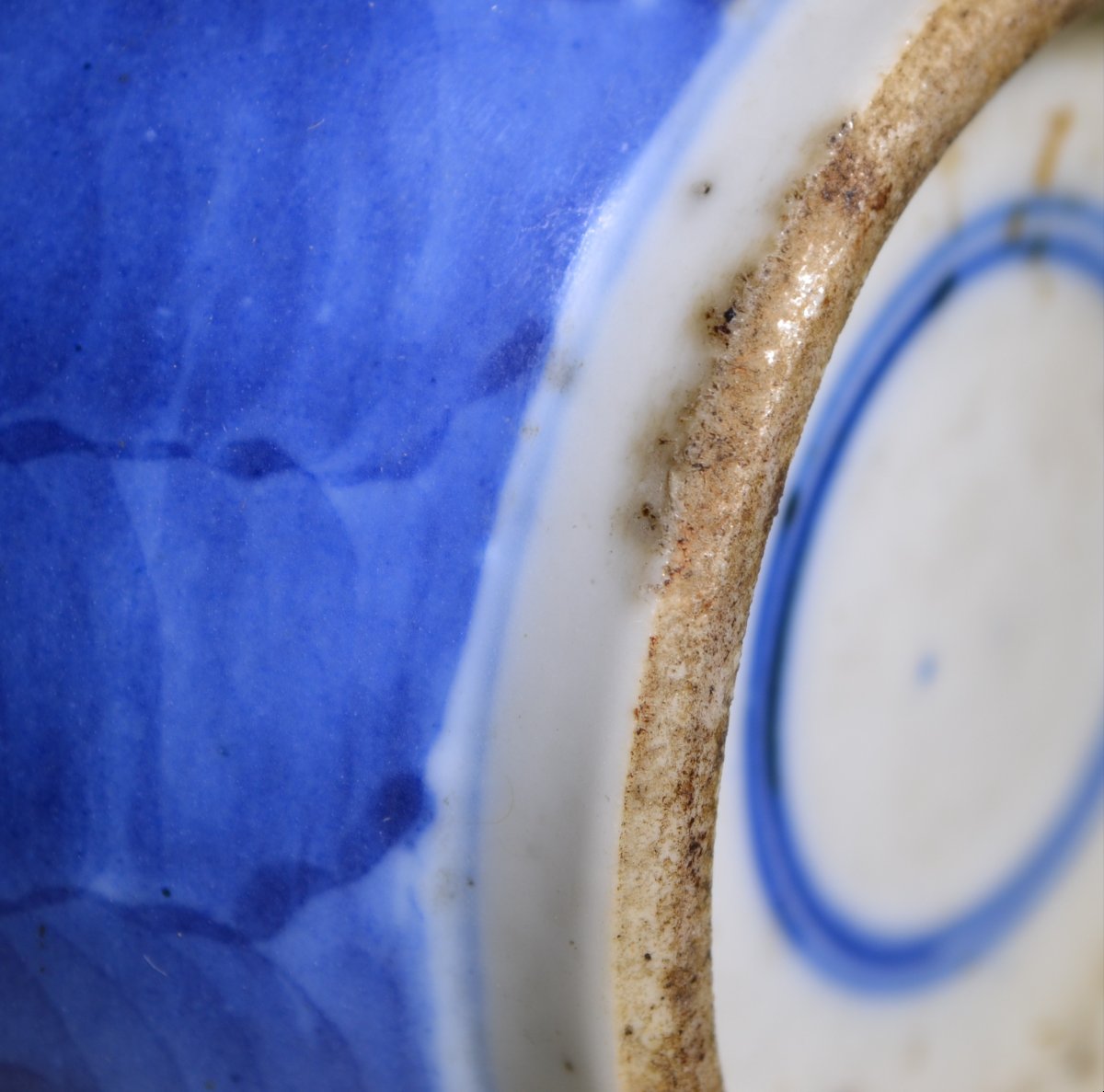 Vase en porcelaine de chine, décor de prunus en bleu de cobalt .Dynastie Qing. -photo-7