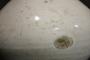 1790129-alb-6a4cbdda4c57f.jpg