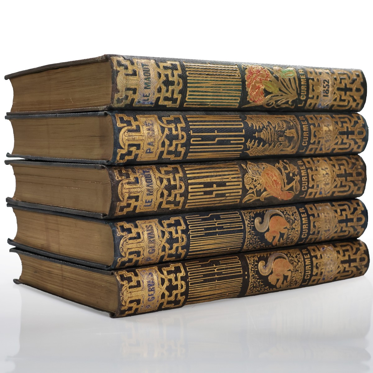 Le Maout. Les trois règnes de la nature. Paris, Curmer, 1852-54-photo-1