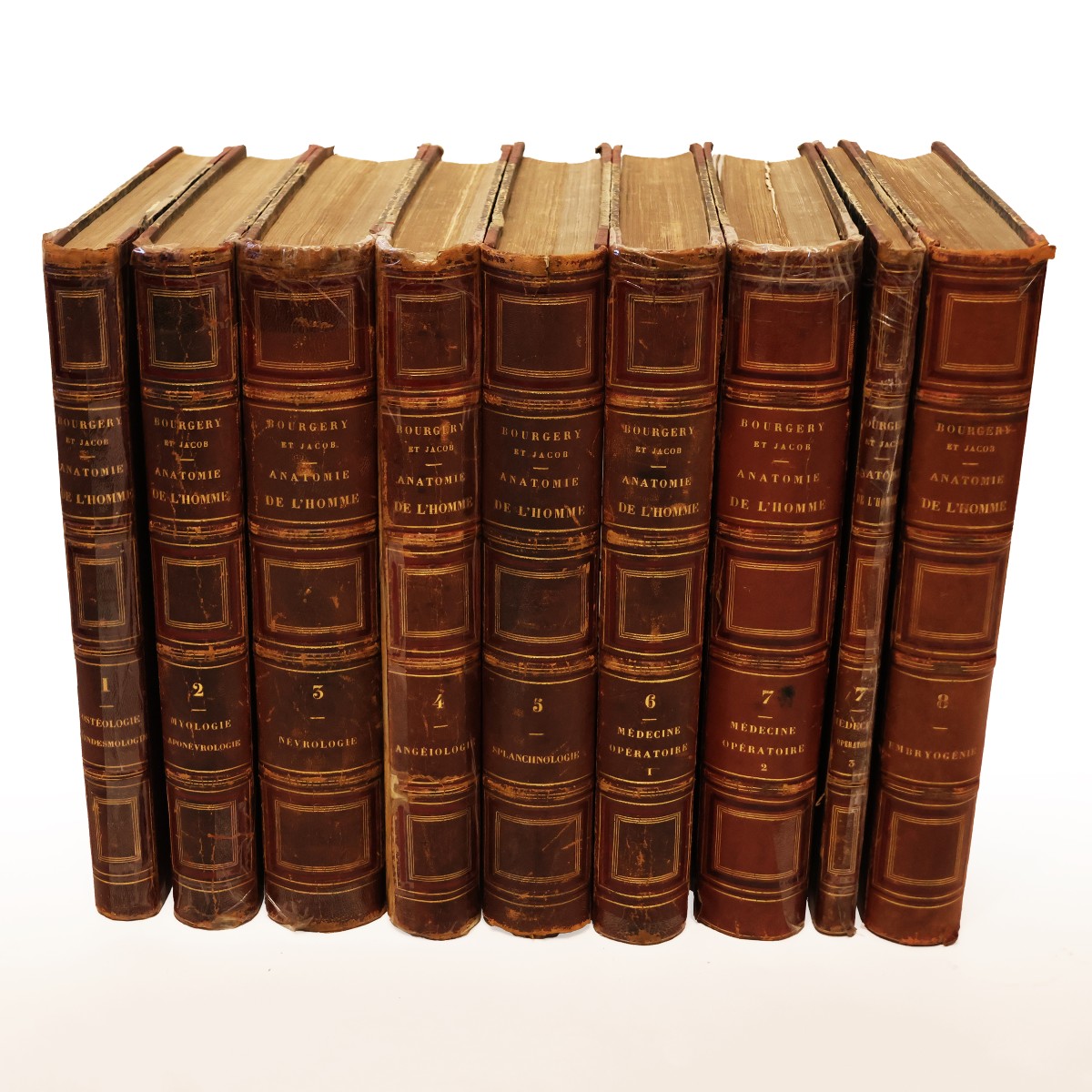 Traité Complet De l'Anatomie De l'Homme.. Dr Jean-marc Bourgery, Paris Par L. Guérin. 1866-1867