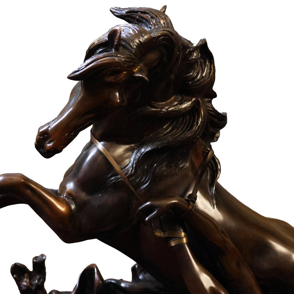 Philippe Poitevin; 1831–1907; Cheval emballé avec son dompteur; bronze patiné brun-photo-3