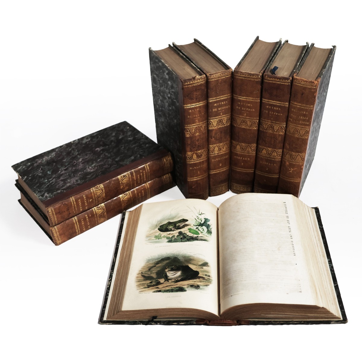 Buffon. Œuvres complètes.. Cuvier. Histoire Naturelle de Lacepède. Paris, Furne. 1839-1841