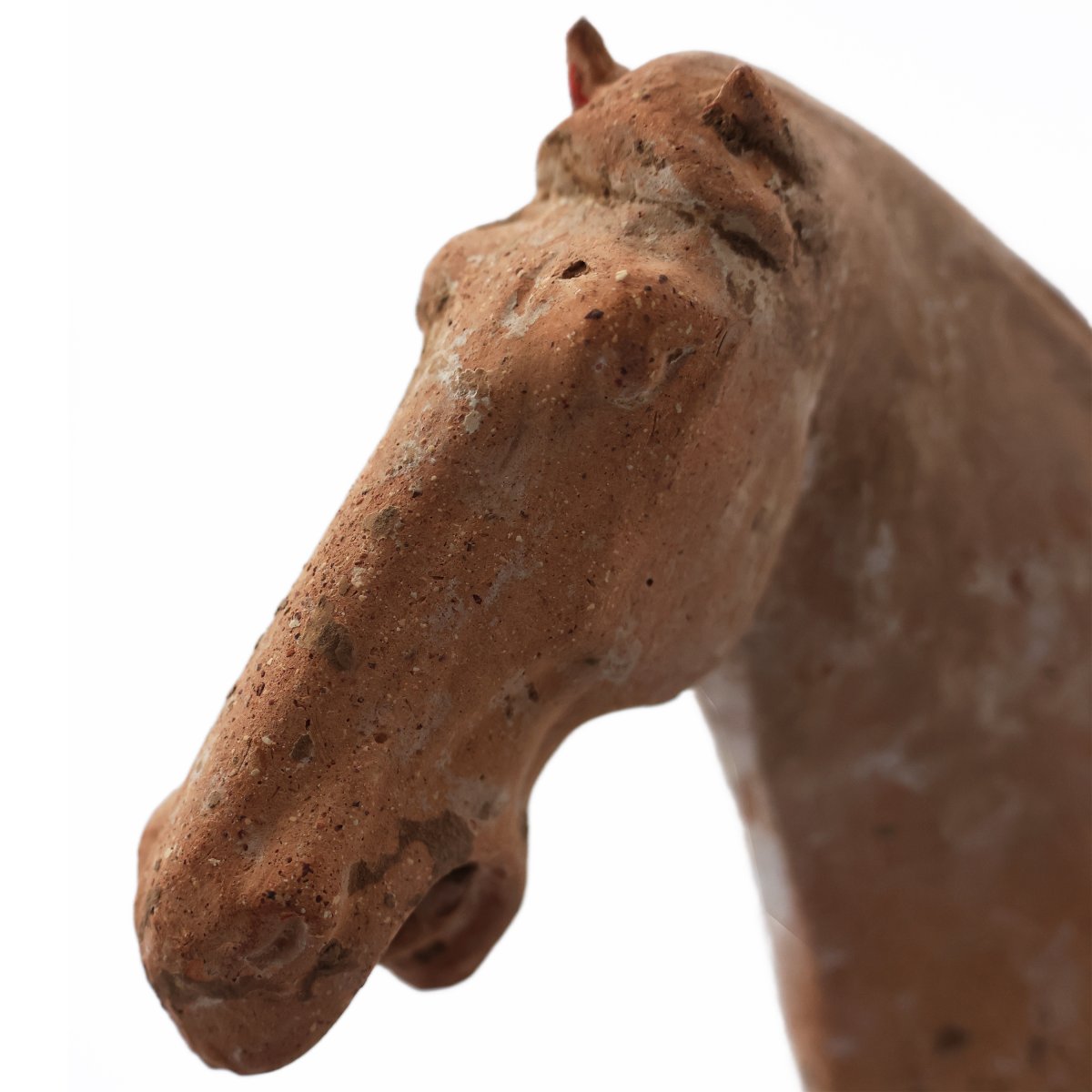 Cavalier à cheval en terre cuite, Chine, dynastie Tang, 618–907 apr. J.-C-photo-1