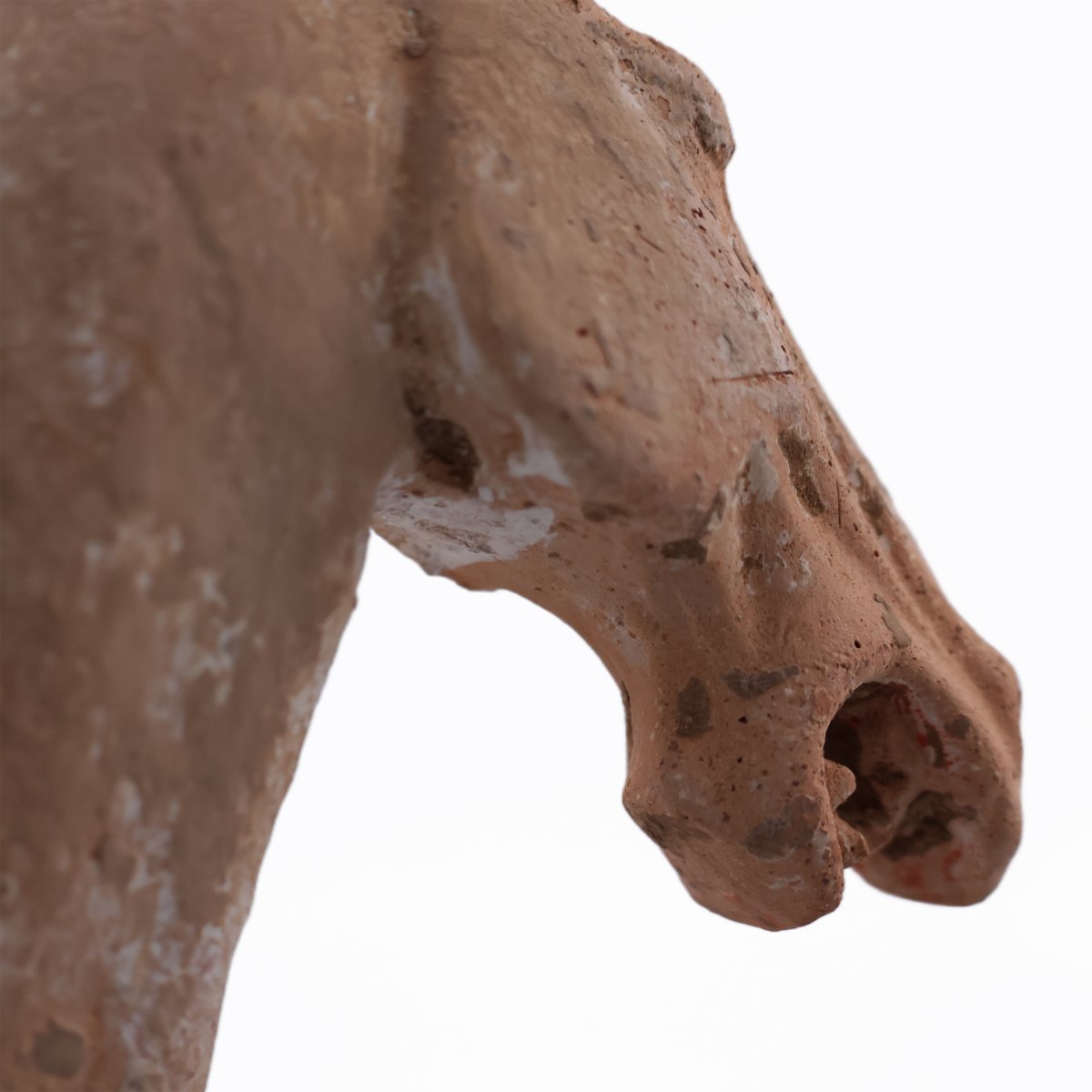 Cavalier à cheval en terre cuite, Chine, dynastie Tang, 618–907 apr. J.-C-photo-2