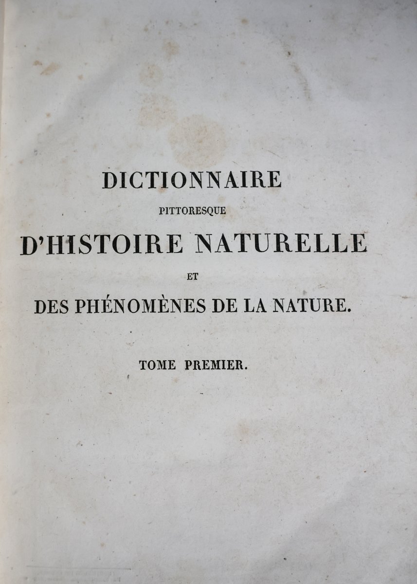 Guerin F.-E.. Dictionnaire pittoresque d'histoire naturelle.. Paris, 1833-39-photo-3
