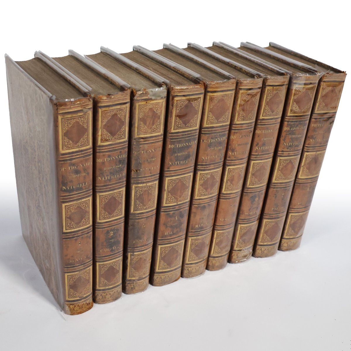 Guerin F.-E.. Dictionnaire pittoresque d'histoire naturelle.. Paris, 1833-photo-2