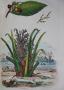 1772354-alb-6a218cbf56681.jpg