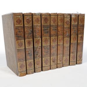 Guerin F.-e.. Dictionnaire Pittoresque d'Histoire Naturelle.. Paris, 1833