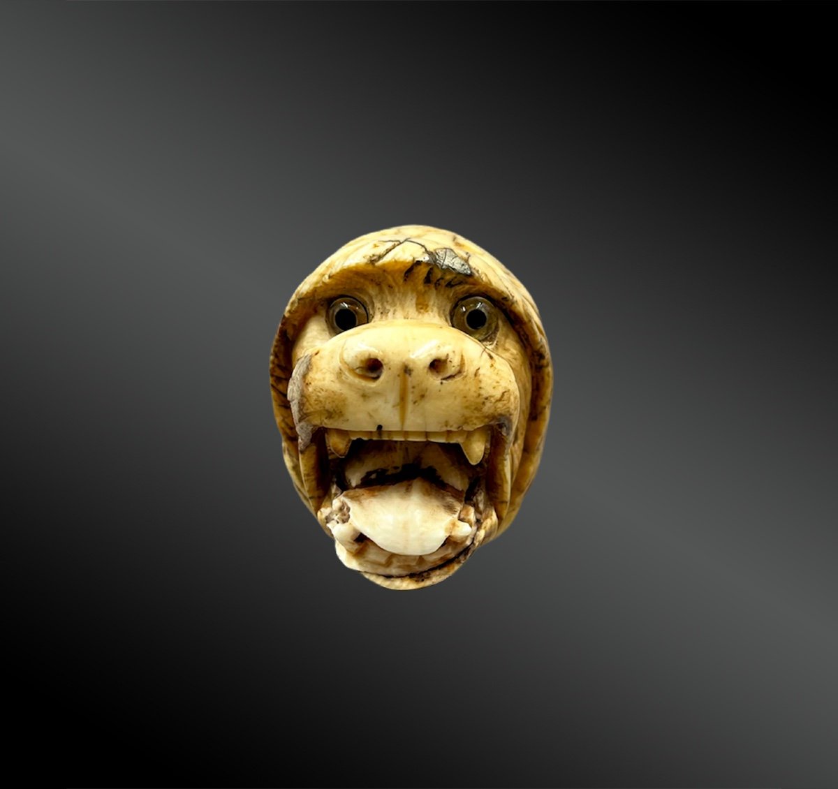 Cane Pommel With A Dog's Head - France - Late 19th Century-photo-2
