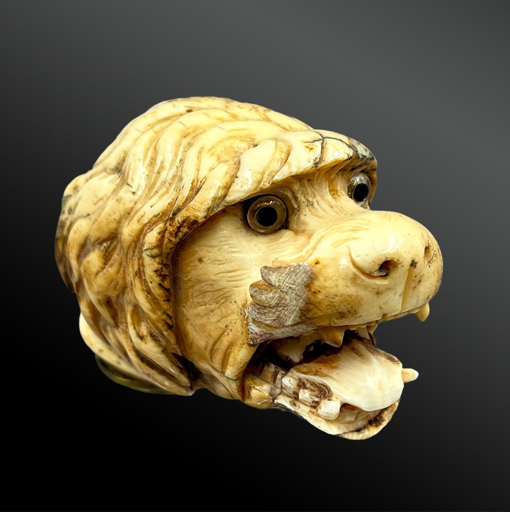 Cane Pommel With A Dog's Head - France - Late 19th Century-photo-1