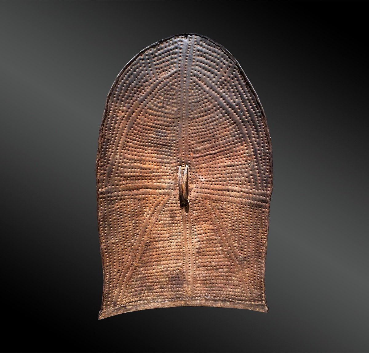 Shield Called Goko - Kirdi Culture, North Of Cameroon - First Half Of The 20th Century-photo-2