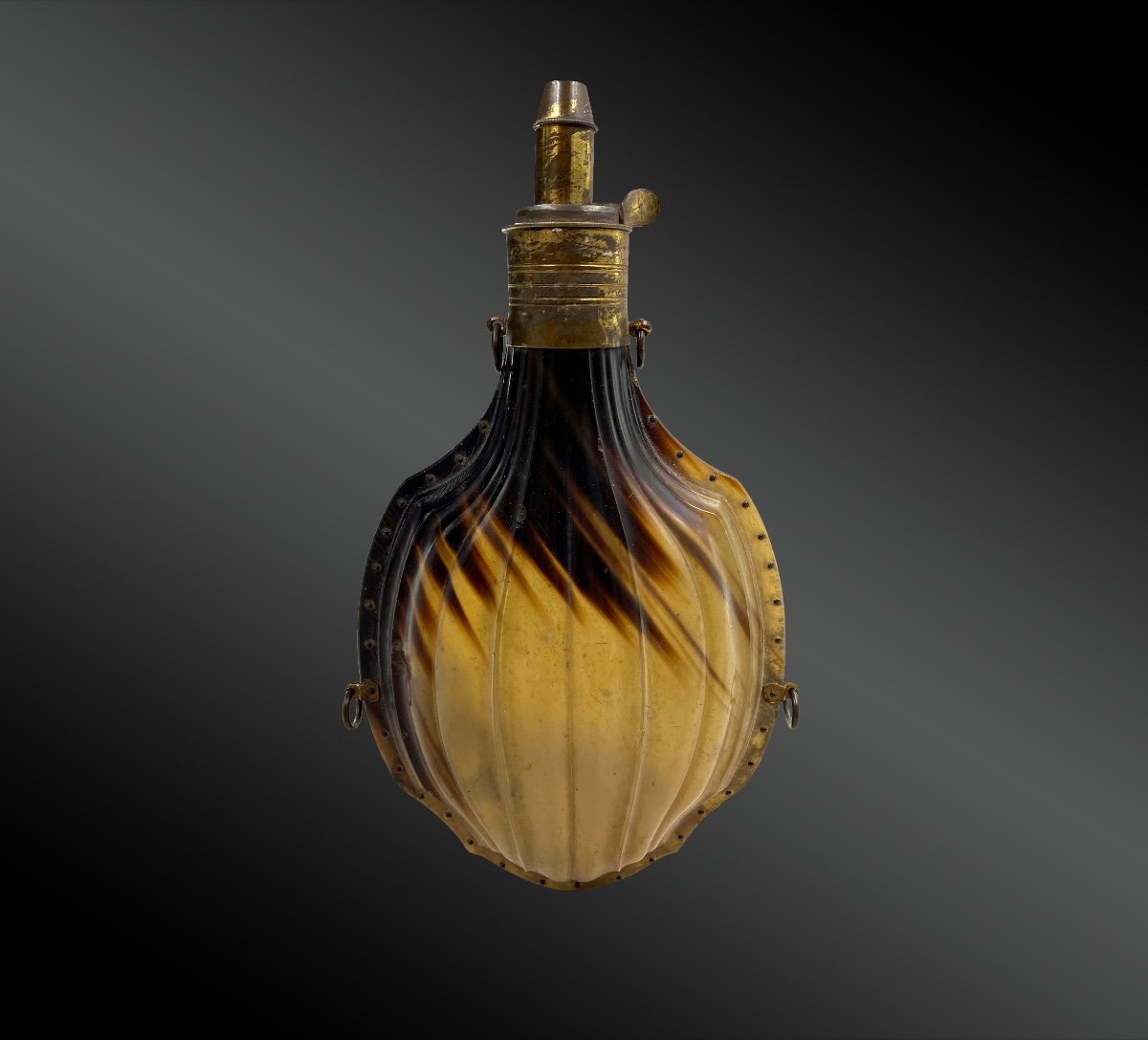 Beaked Powder Pear, Large Model, In Clear And Transparent Horn - France - XIXth Century