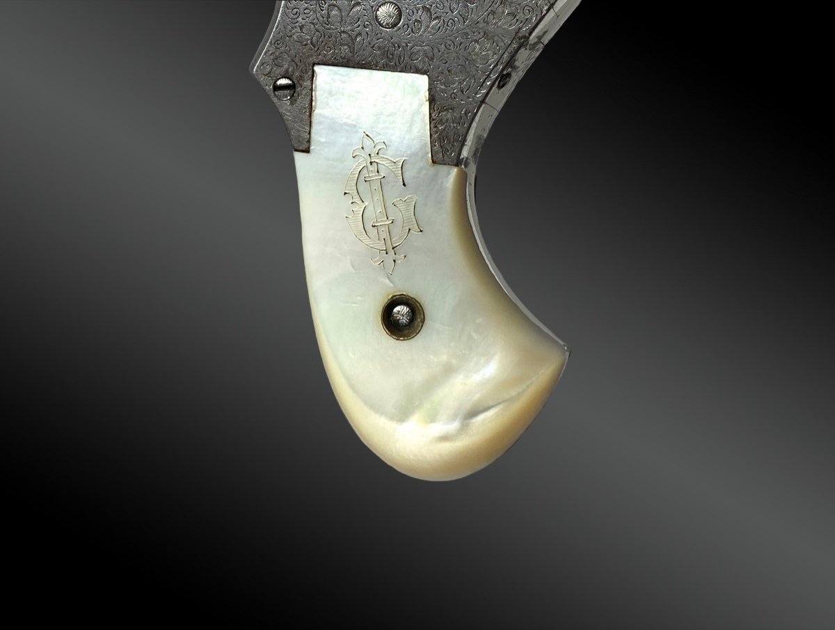 Luxury Bulldog Revolver Box. Lefaucheux House; H. Rieger Succ. Collar. I. Gates. France XIXth-photo-2