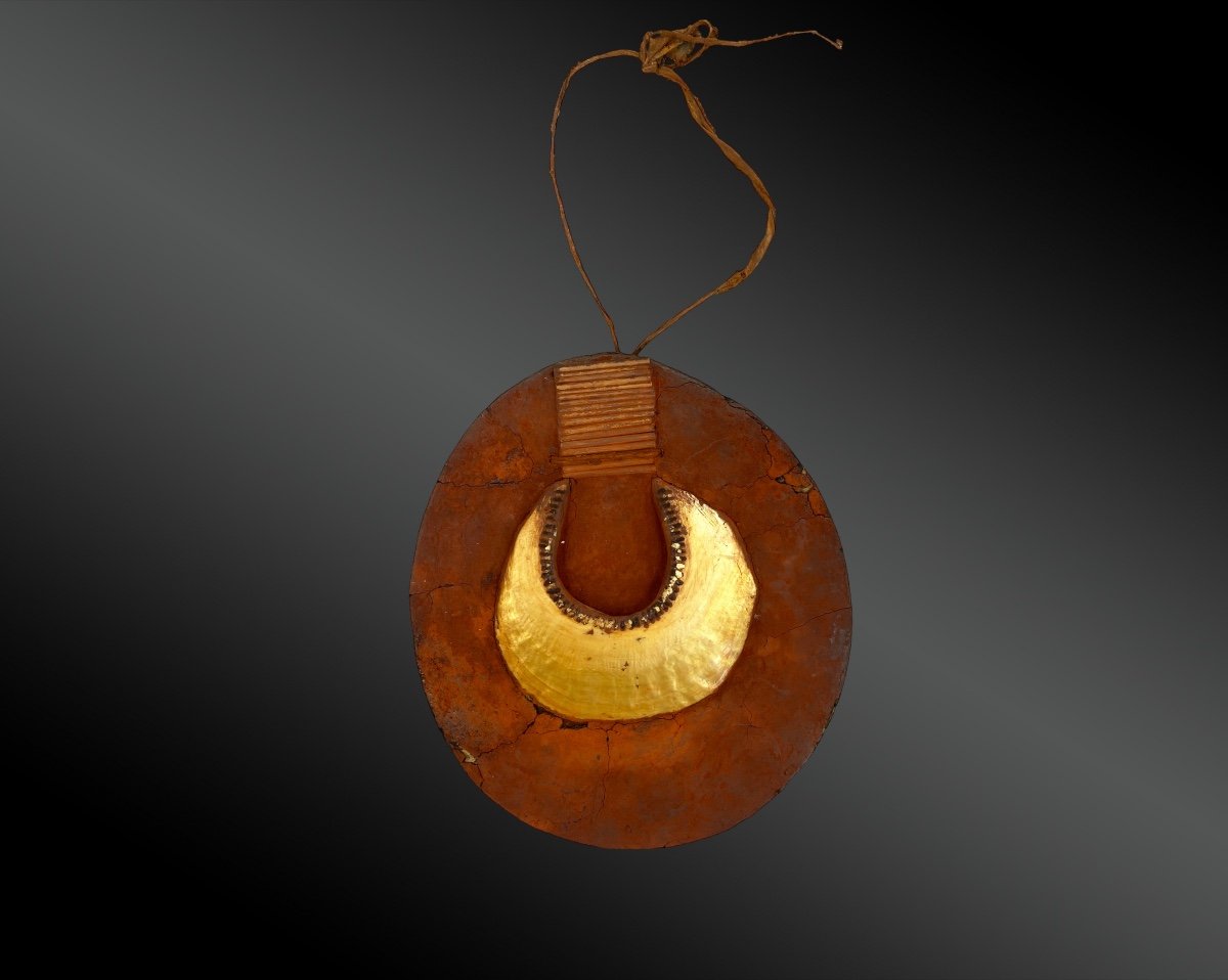 Pectoral Kamano, Kina Hautes Terres, Papouasie-nouvelle-guinée 