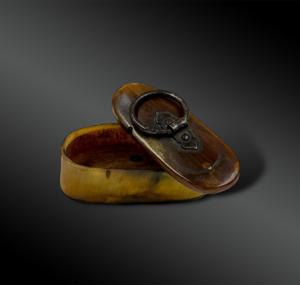 Snuffbox - Europe - Around 1900-photo-4