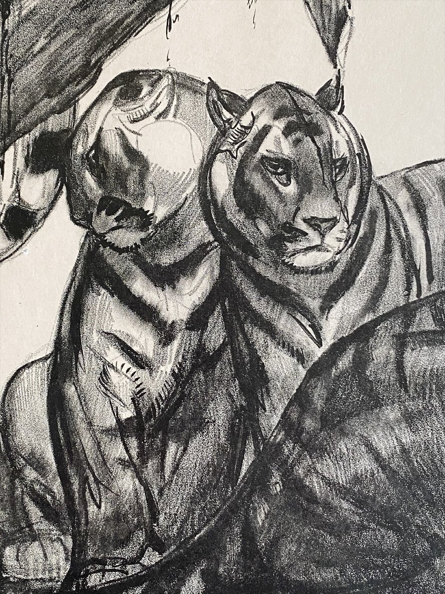 Paul Jouve, Tigers Drinking Lithograph Original France Circa 1935-photo-4