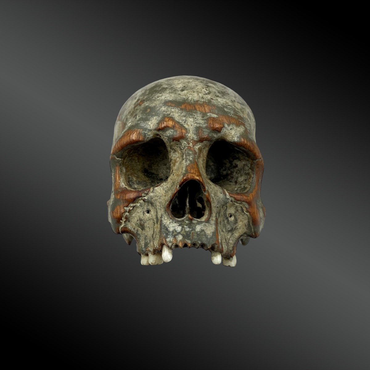 Vanity. Carved Boxwood Skull. 18th Century Period.-photo-3