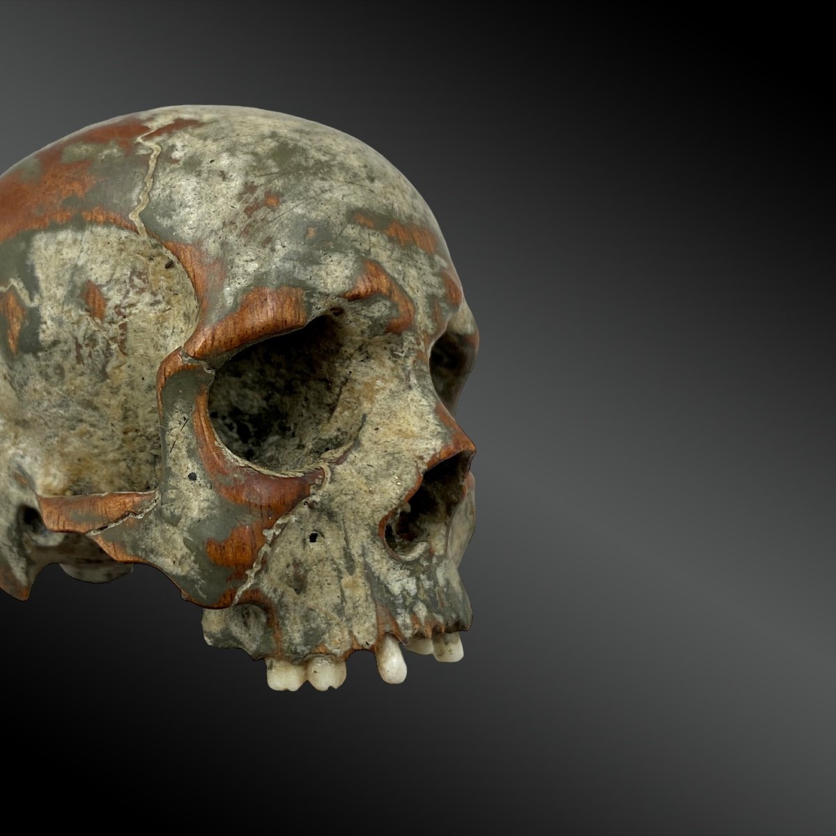 Vanity. Carved Boxwood Skull. 18th Century Period.-photo-4
