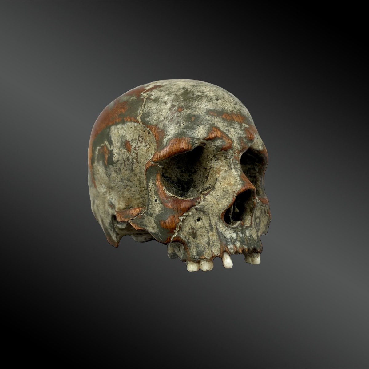 Vanity. Carved Boxwood Skull. 18th Century Period.