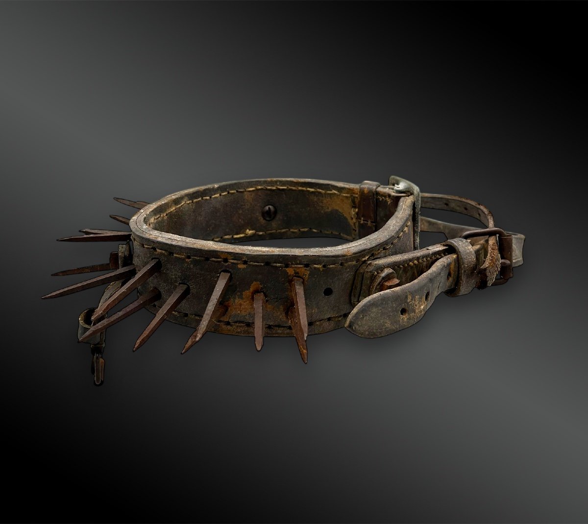 Dog Collar Called Vreccale And Its Harness - Italy Or Spain - Circa 1900-photo-2