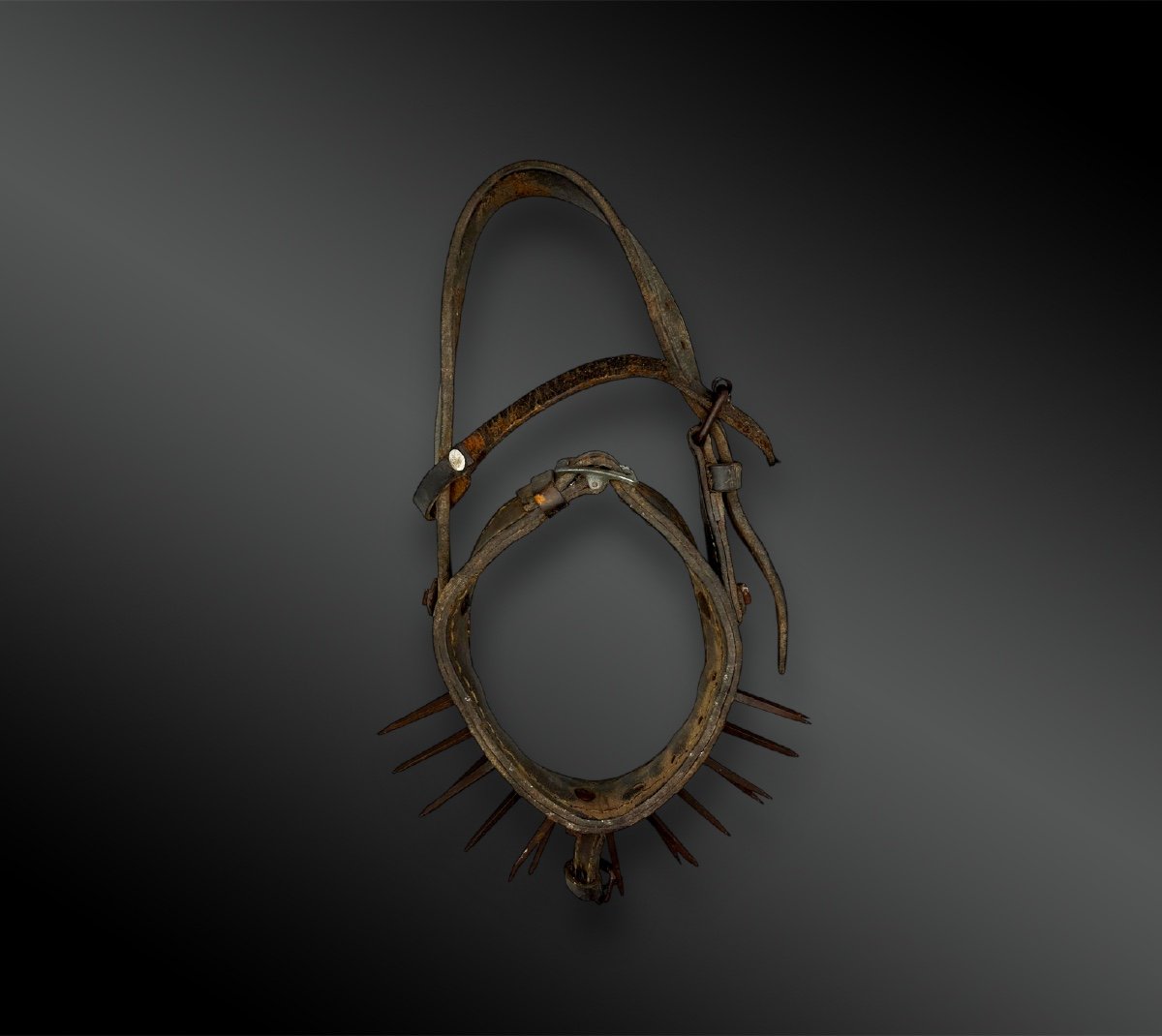 Dog Collar Called Vreccale And Its Harness - Italy Or Spain - Circa 1900-photo-1