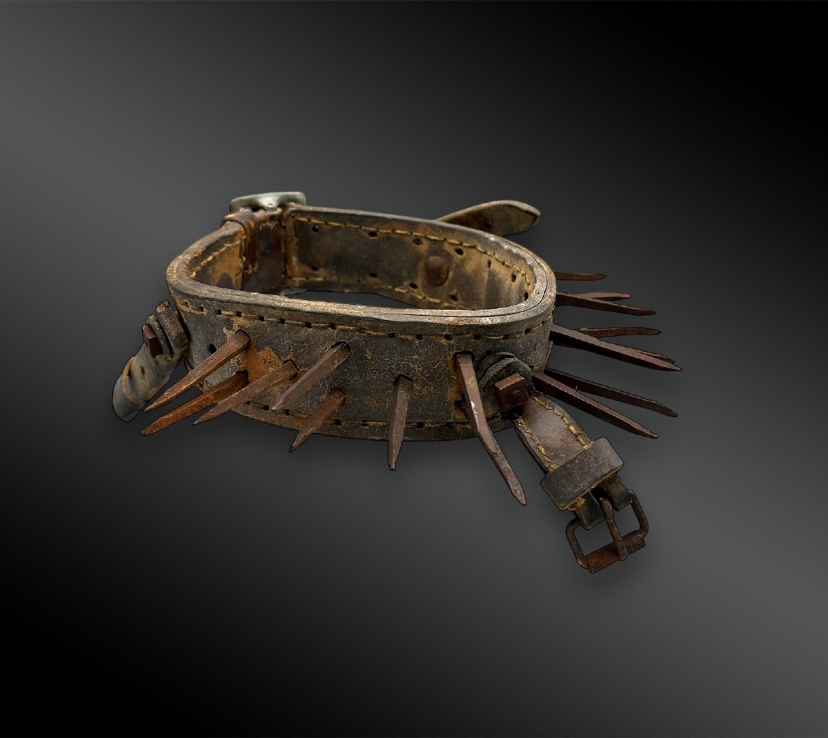 Dog Collar Called Vreccale And Its Harness - Italy Or Spain - Circa 1900