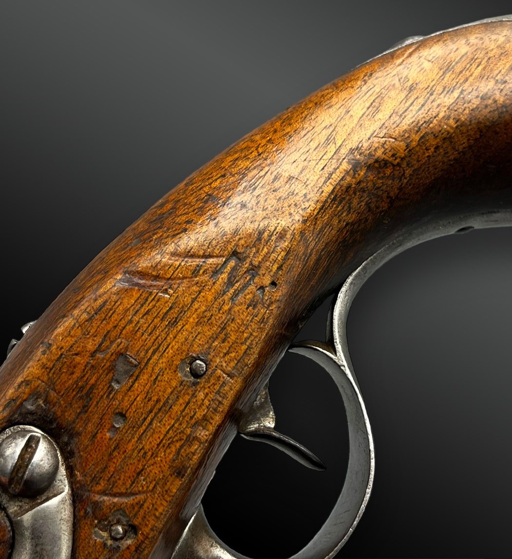 Gendarmerie Pistol Model Year Ix, Manufacture Nationale De Maubeuge - France - 19th Century-photo-2