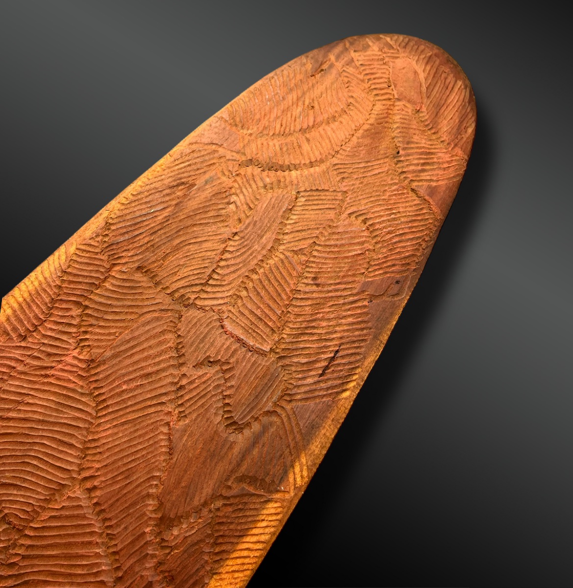 Wunda Shield - Aboriginal Culture, Central Desert, Australia - Circa 1900-photo-2
