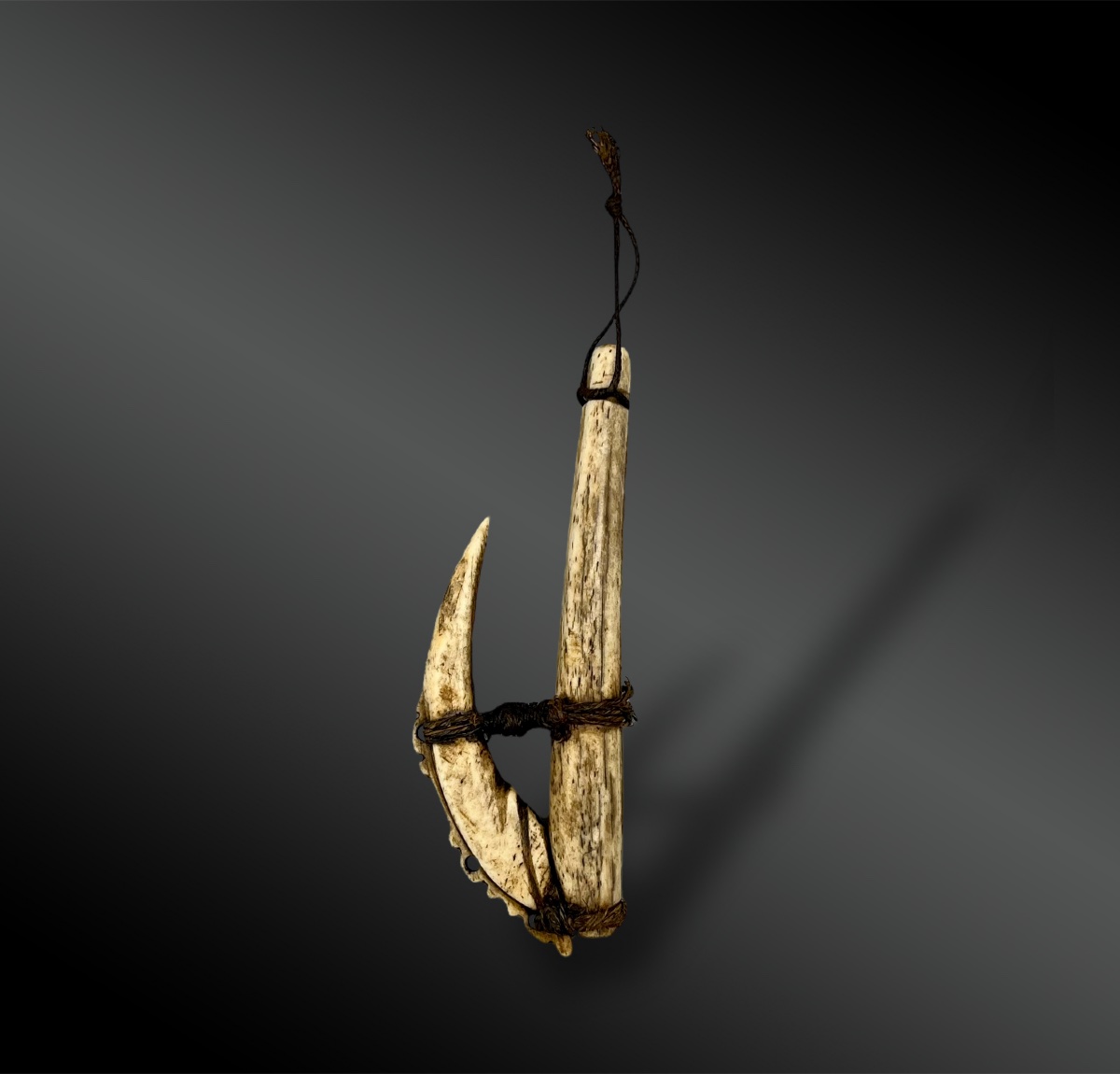 Fishhook - Huon Gulf, Papua New Guinea - 19th Century-photo-2
