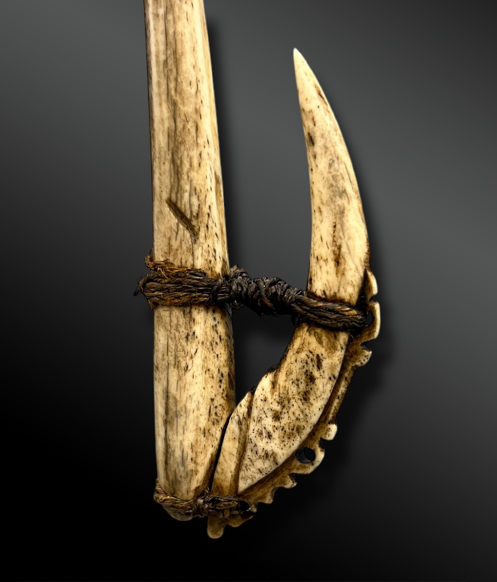 Fishhook - Huon Gulf, Papua New Guinea - 19th Century-photo-3