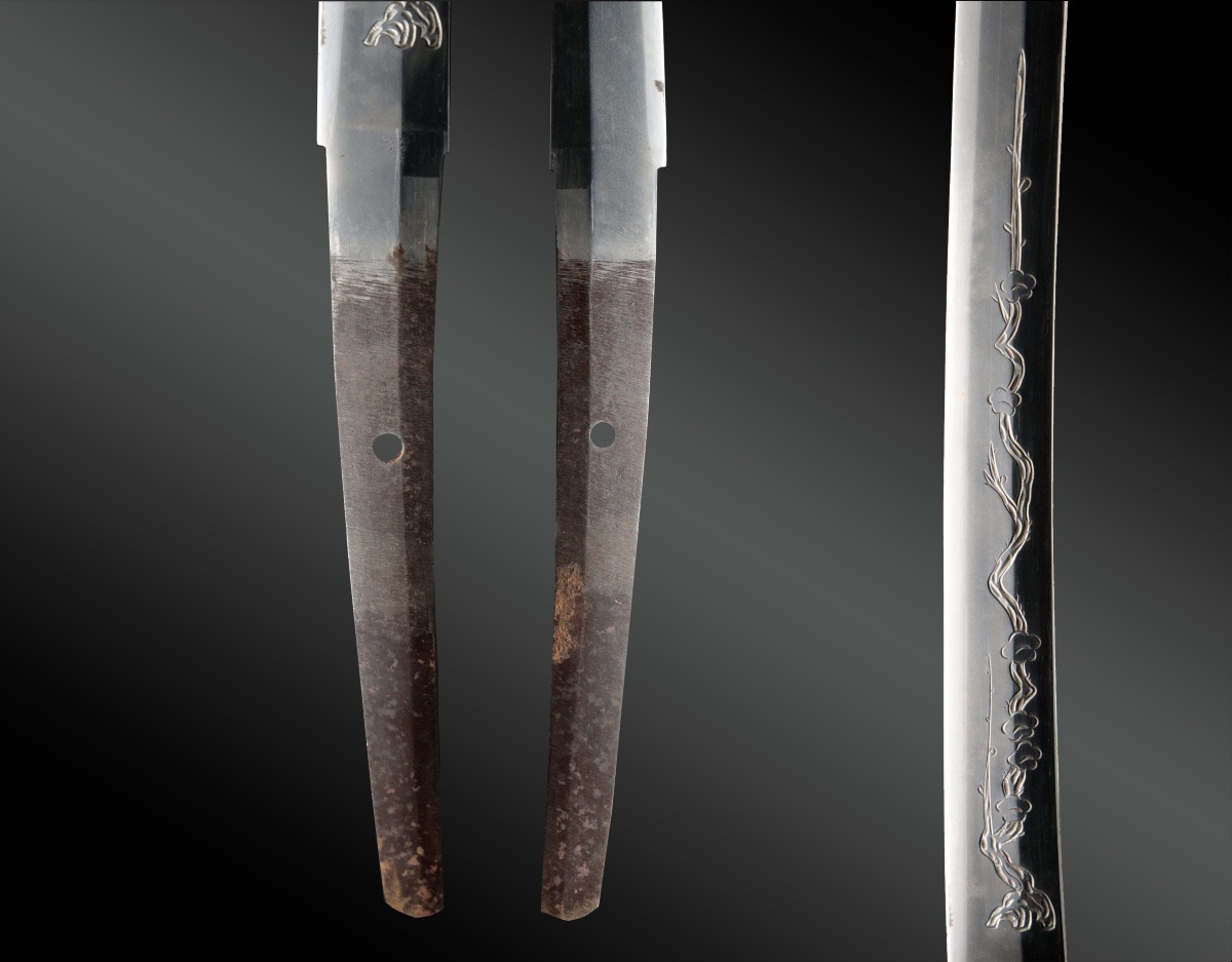 Japanese Sword, Katana In Shirasaya, Koshirae, Nthk Certificate. Japan, Late Edo (kansei Era)-photo-3